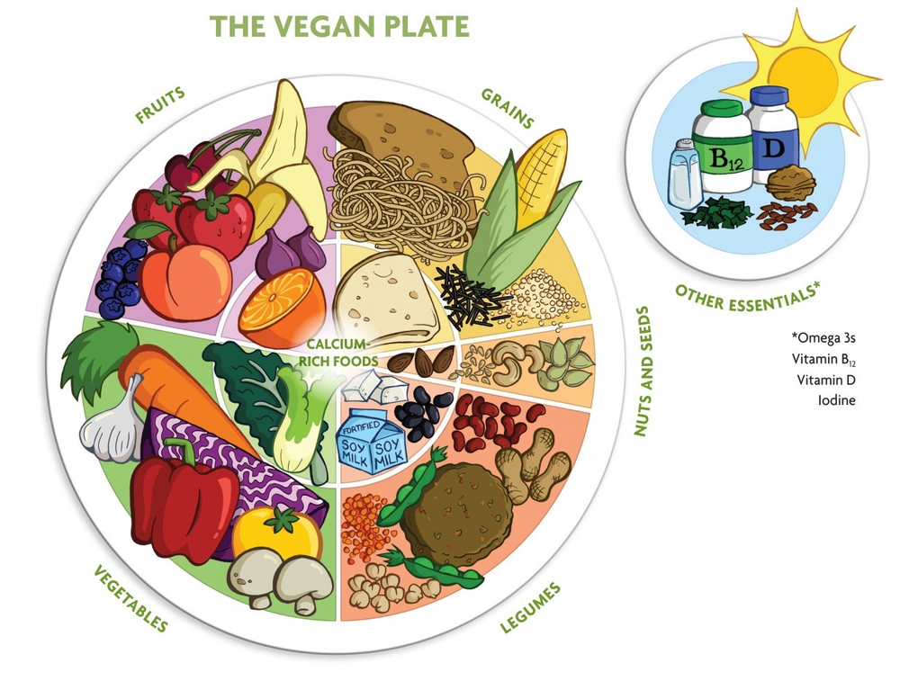 Веганская тарелка, веганский аналог тарелки сбалансированного питания. Подробно о ней можно почитать по ссылке чуть выше.